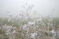 Frostbilder_06 005a.jpg